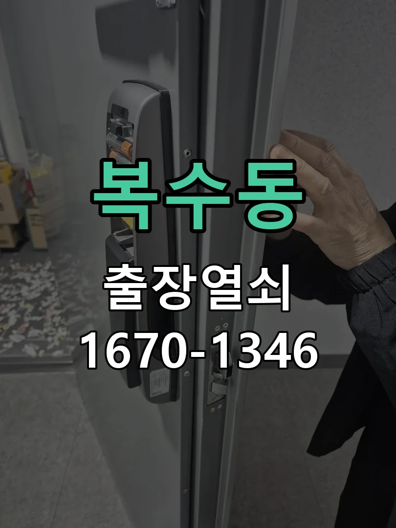 대전시 복수동 현관문 개문 작업 완료 후 점검