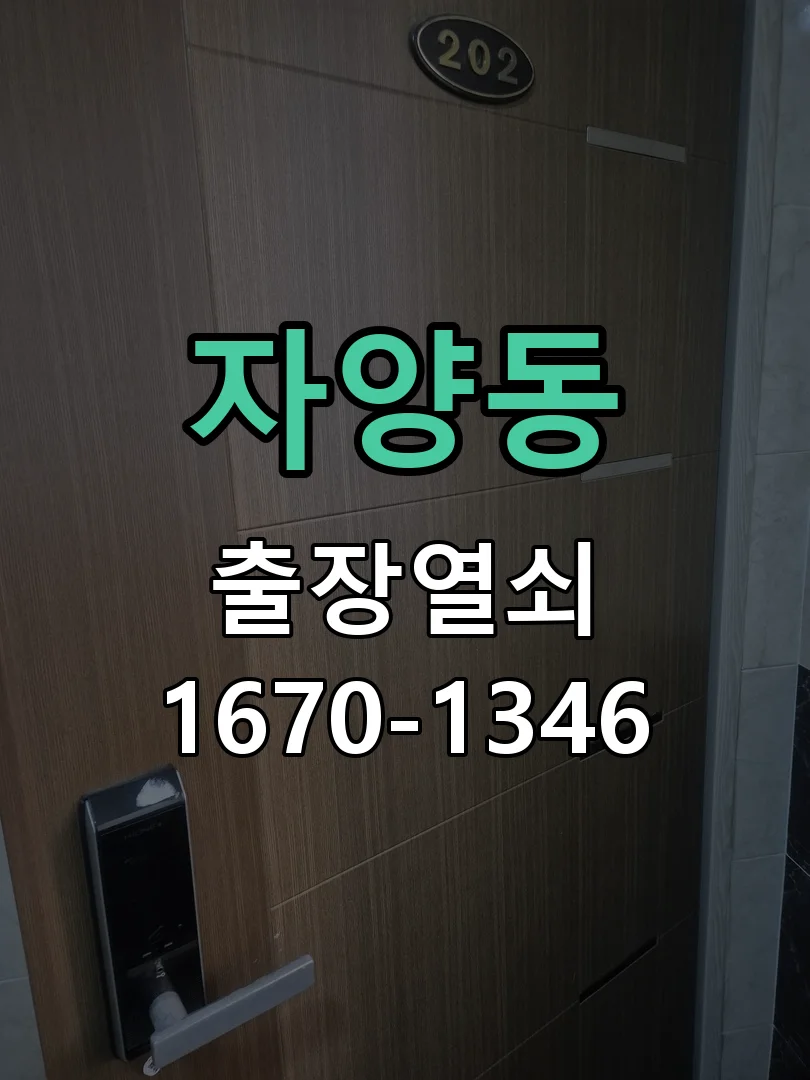대전시 자양동 현장 점검