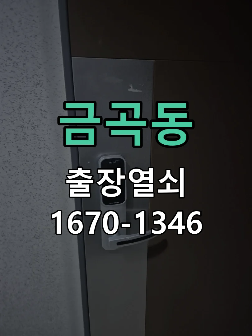 성남시 금곡동 도어락 설치 현장 도착 후 상태 확인