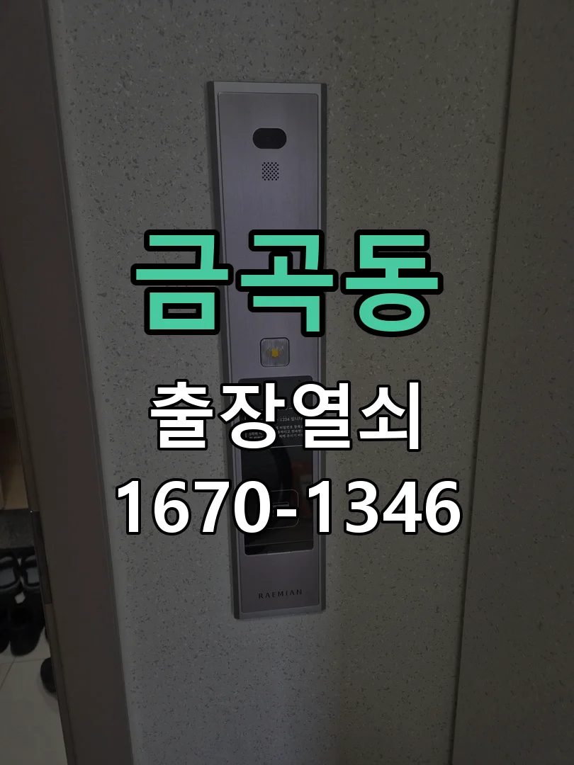 성남시 금곡동 도어락 설치 작업 진행 장면