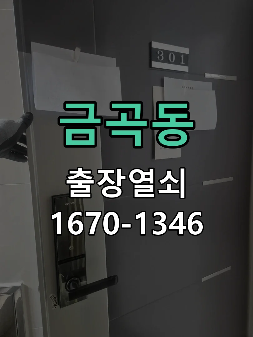 성남시 금곡동 도어락 설치 작업 완료 후 점검