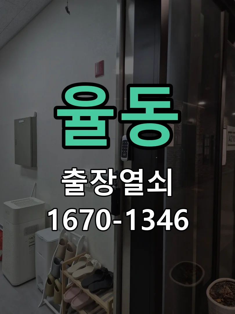 성남시 율동 현장 도착 후 상태 확인