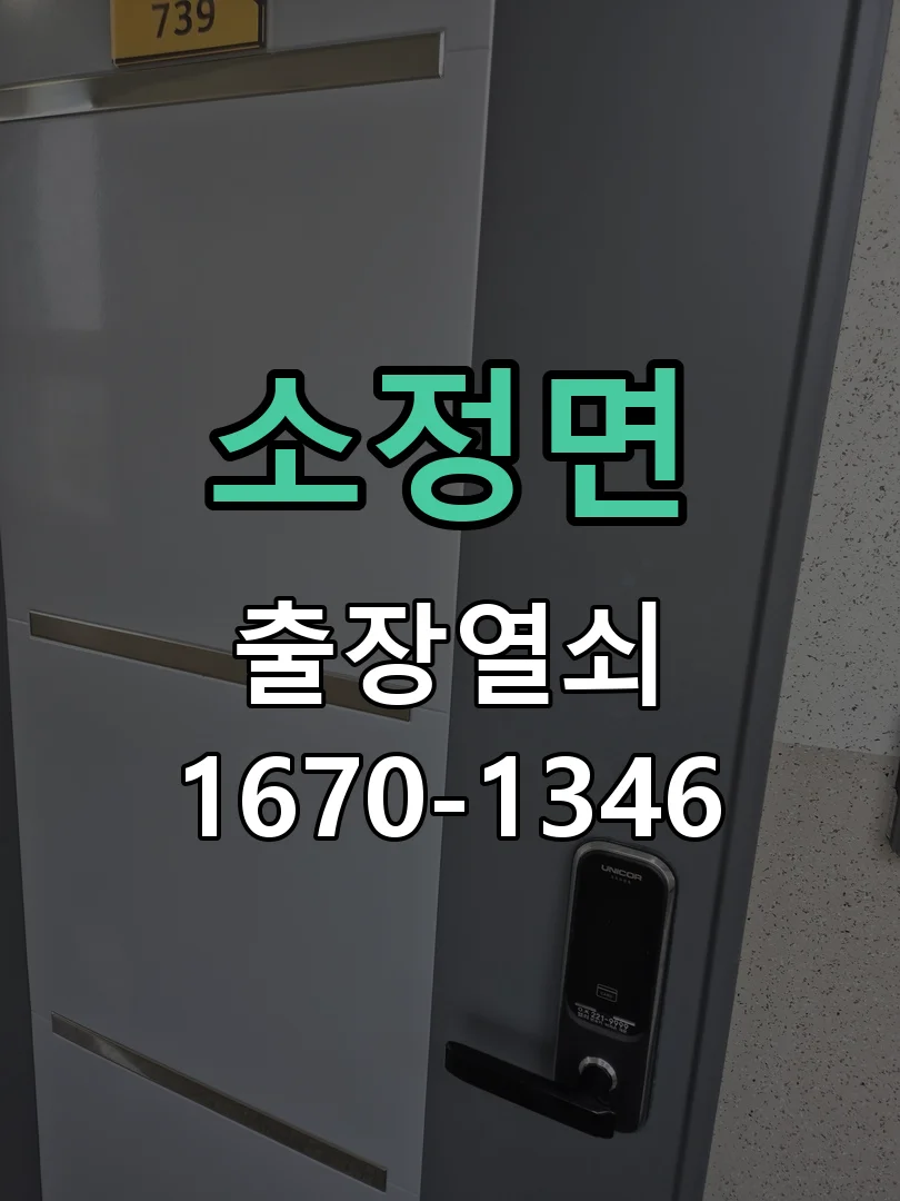 세종시 소정면 출장 열쇠 현장 도착 후 상태 확인