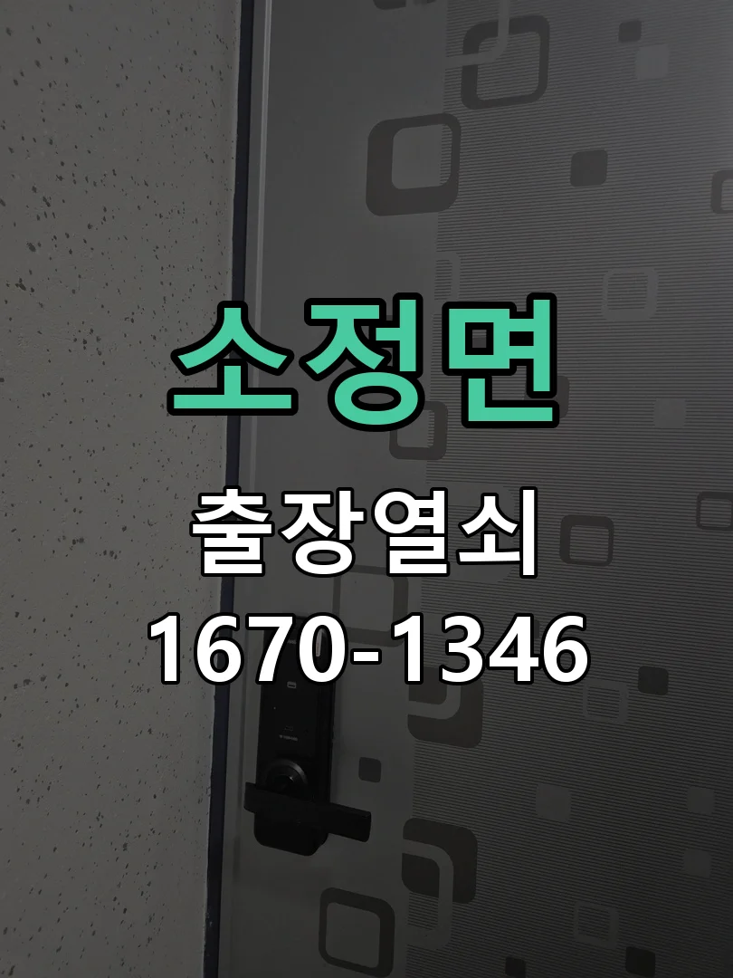 세종시 소정면 출장 열쇠 작업 진행 장면