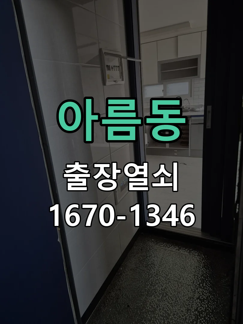 세종시 아름동 현관문 개문 작업 완료 후 점검