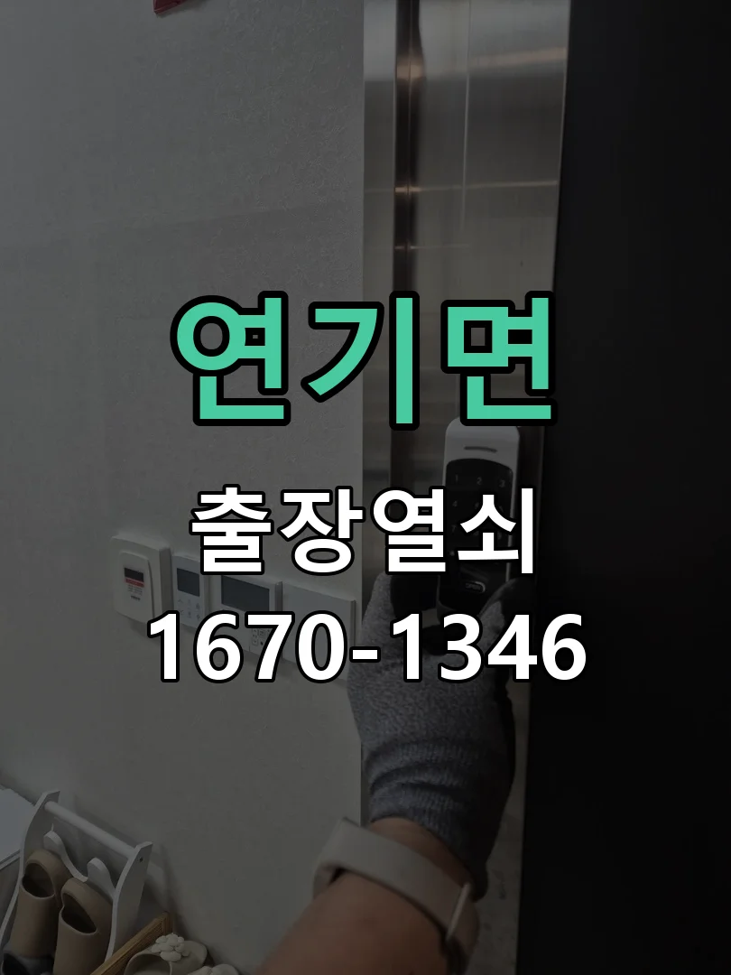세종시 연기면 도어락 수리 현장 도착 후 상태 확인