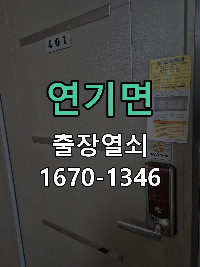 세종시 연기면 도어락 수리 작업 완료 후 점검
