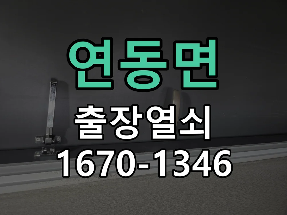 세종시 연동면 열쇠 분실 현장 도착 후 상태 확인