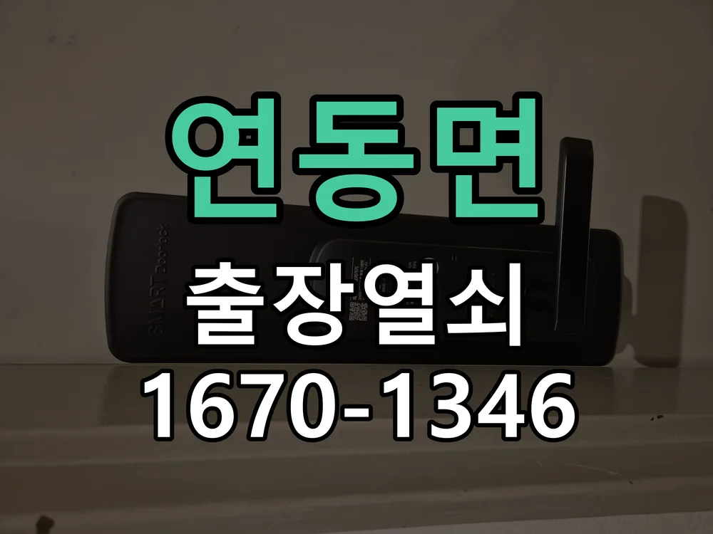 세종시 연동면 열쇠 분실 작업 진행 장면