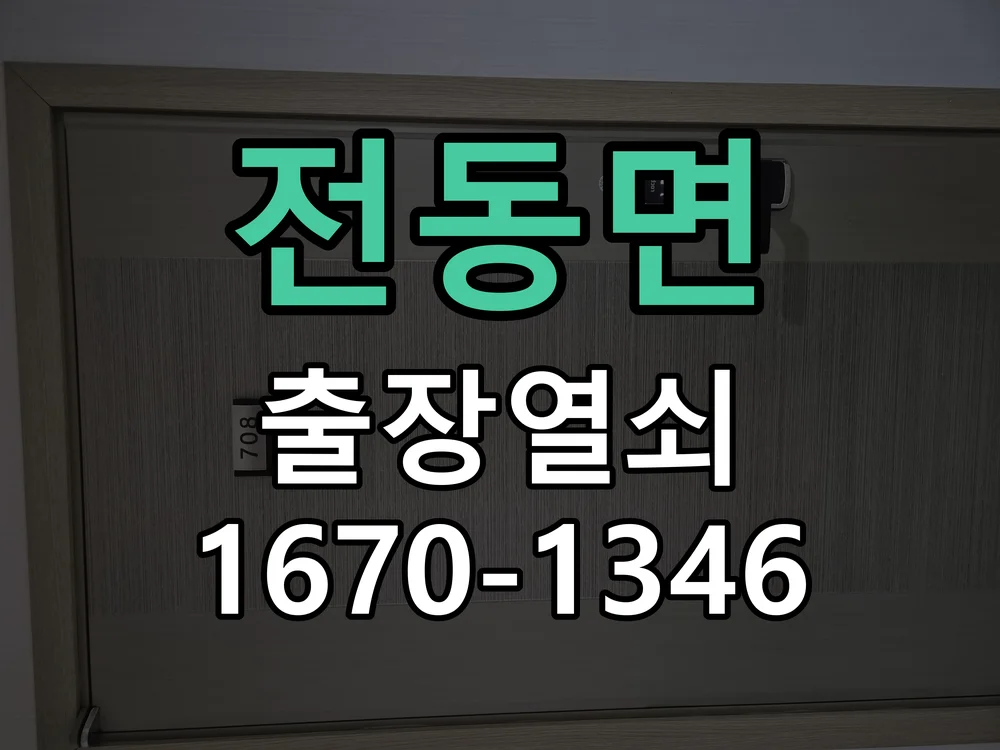 세종시 전동면 열쇠 분실 작업 진행 장면