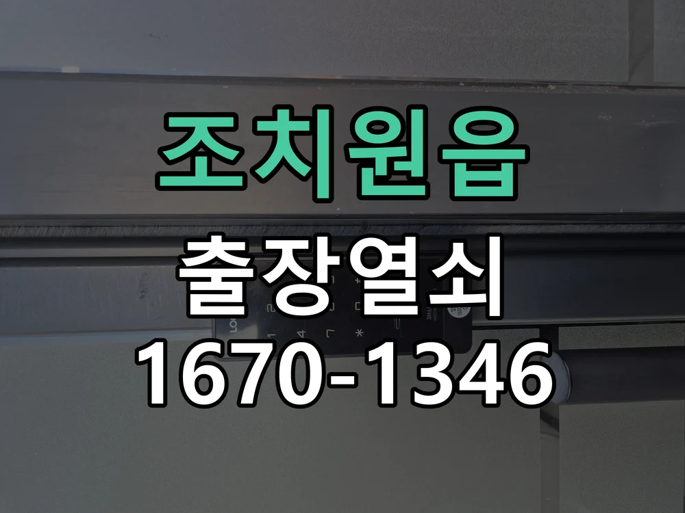 세종시 조치원읍 도어락 교체 작업 완료 후 점검