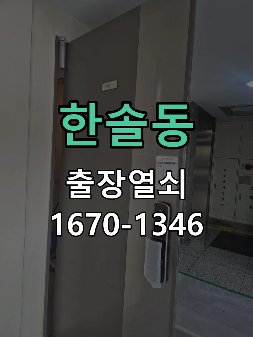 세종시 한솔동 현관문 개문 작업 완료 후 점검