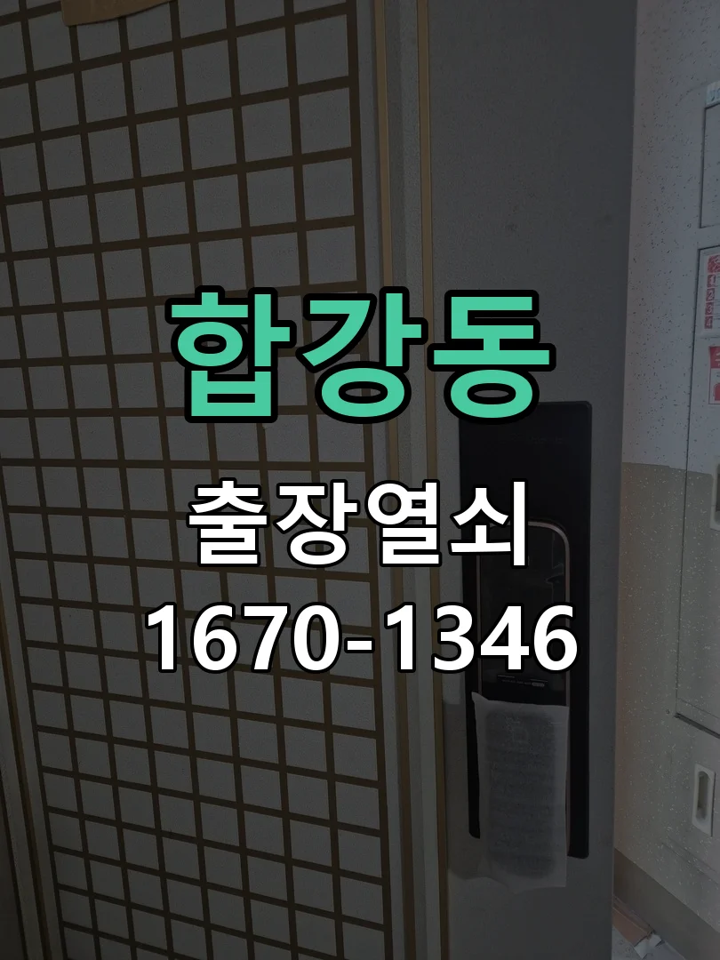 세종시 합강동 도어락 교체 현장 도착 후 상태 확인