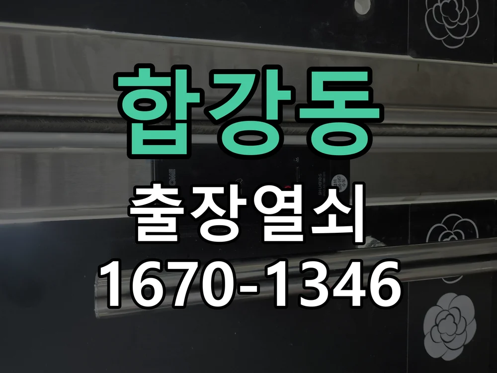 세종시 합강동 도어락 교체 작업 완료 후 점검