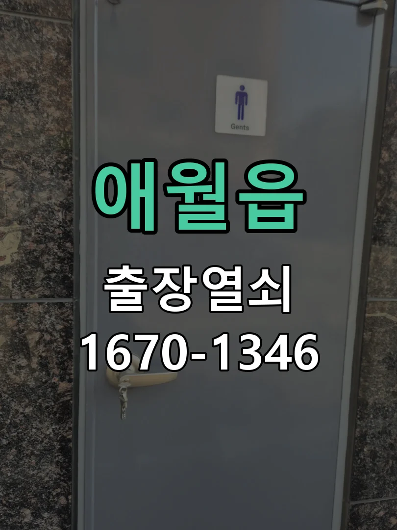 제주시 애월읍 도어락 교체 현장 도착 후 상태 확인