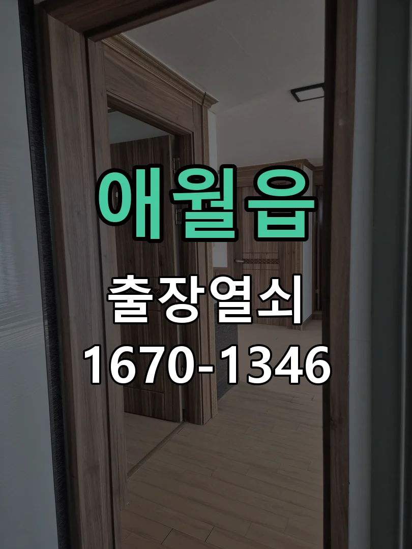 제주시 애월읍 도어락 교체 작업 진행 장면