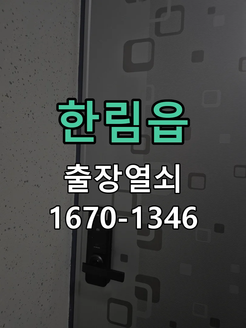 제주시 한림읍 열쇠 분실 현장 도착 후 상태 확인