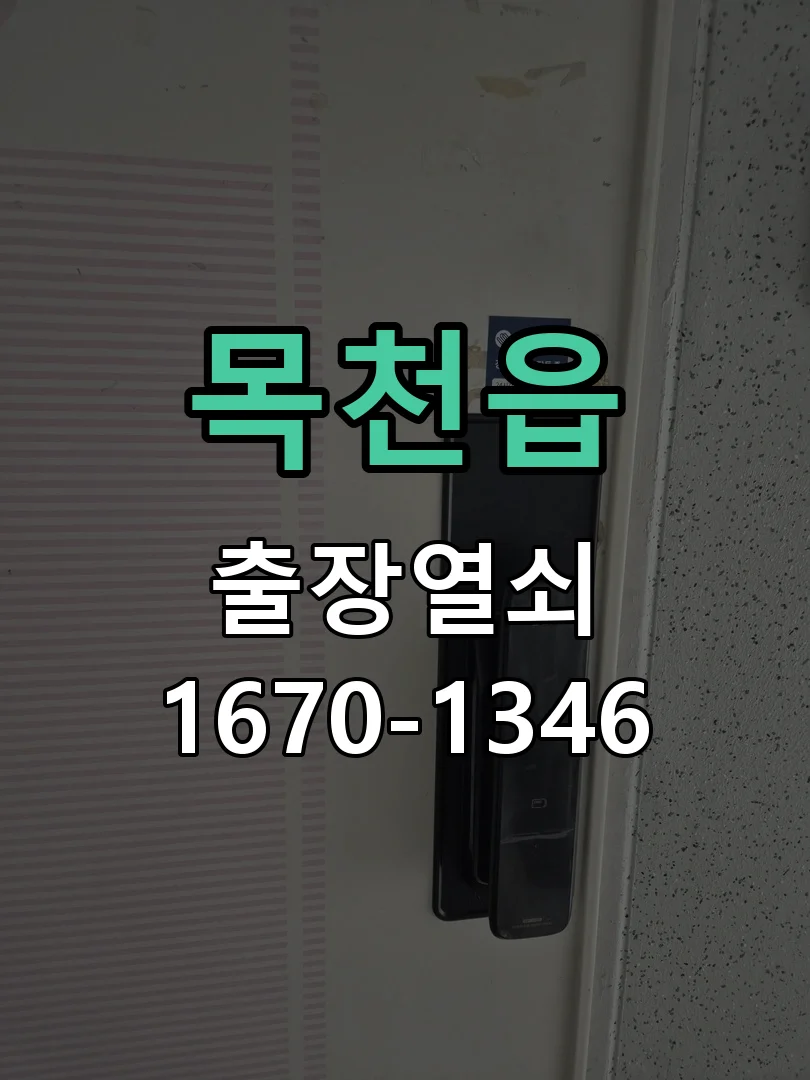 천안시 목천읍 현관문 개문 현장 도착 후 상태 확인