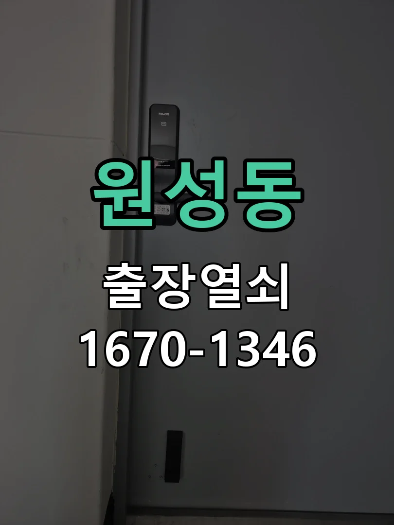 천안시 원성동 현관문 개문 작업 진행 장면