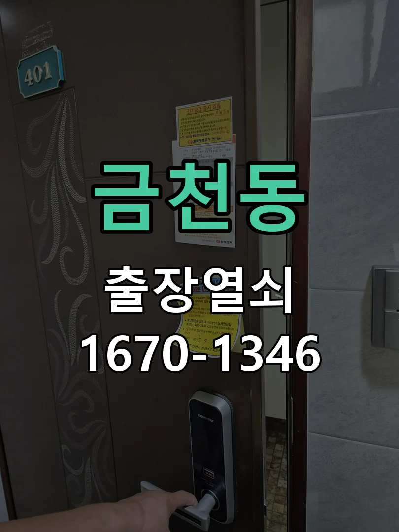 청주시 금천동 도어락 수리 현장 도착 후 상태 확인
