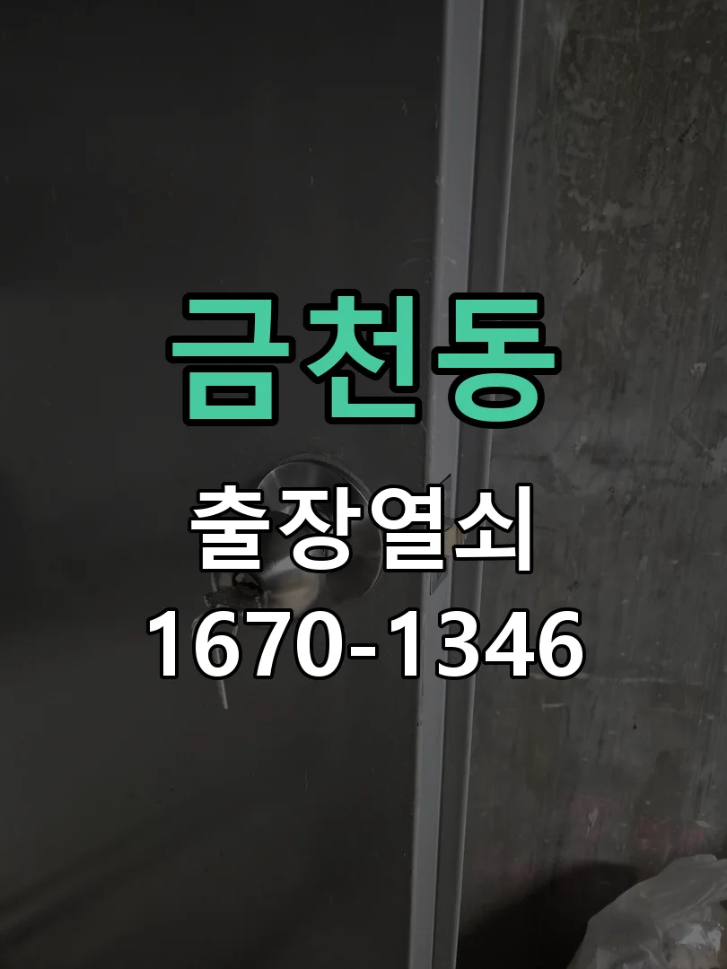 청주시 금천동 도어락 수리 작업 진행 장면