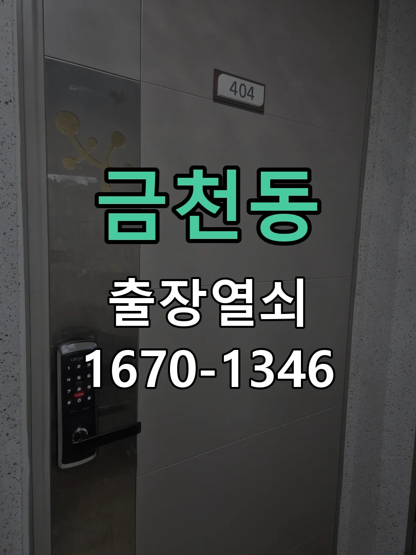 청주시 금천동 도어락 수리 작업 완료 후 점검