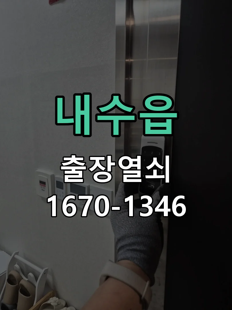 청주시 내수읍 현관문 개문 작업 완료 후 점검