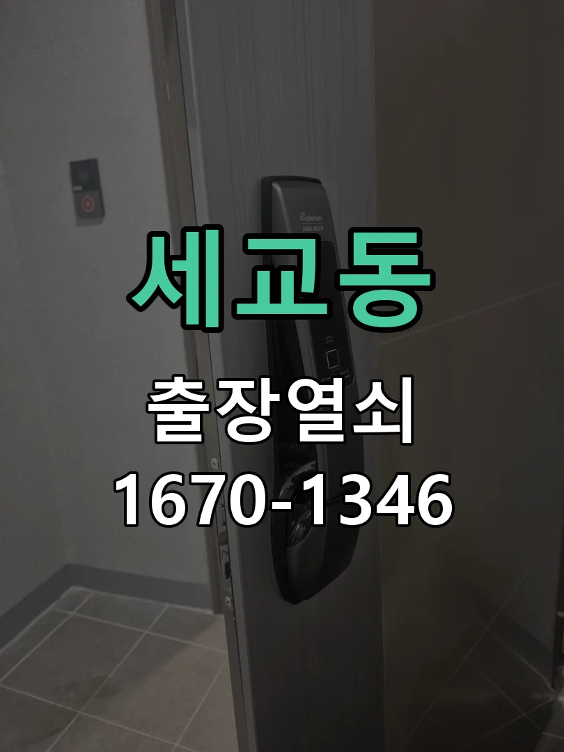 평택시 세교동 출장 열쇠 현장 도착 후 상태 확인