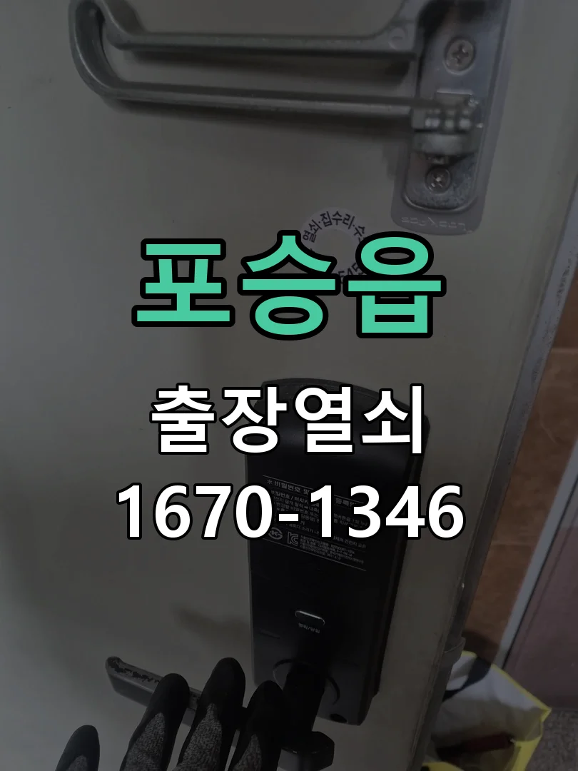 평택시 포승읍 현관문 개문 작업 완료 후 점검