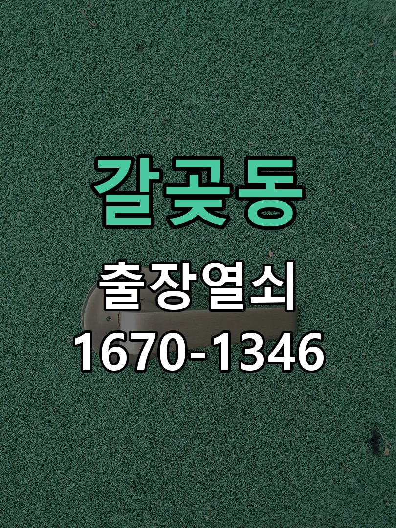갈곶동 현관문 보조키 열쇠 분실 키통 교체 특수 딤플키 실린더 보조키 교체 정밀 점검 및 교체