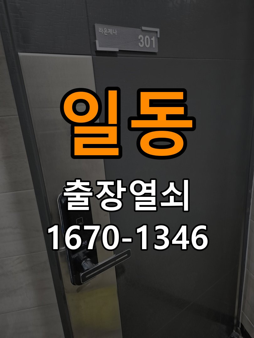 일동 현관문 보조키 열쇠 분실 키통 교체 도어락 위의 특수 보조키 열쇠를 잃어버려 문을 열지 못함 현장 출장