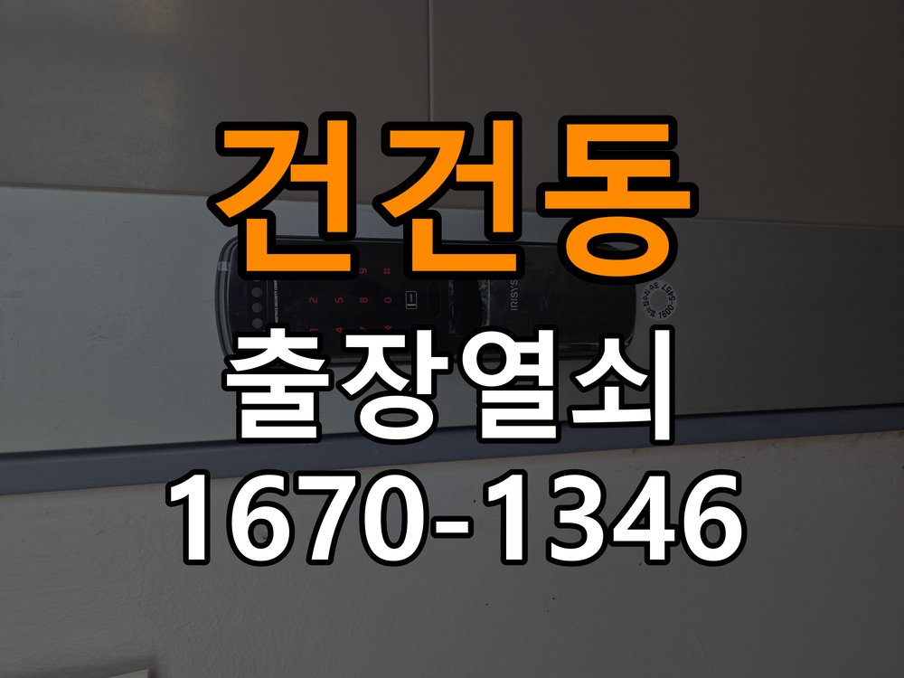 건건동 보조키 특수키 안전고리 추가 설치 특수 핀 실린더 보조키 및 빗장형 고급 안전고리 정밀 점검 및 교체