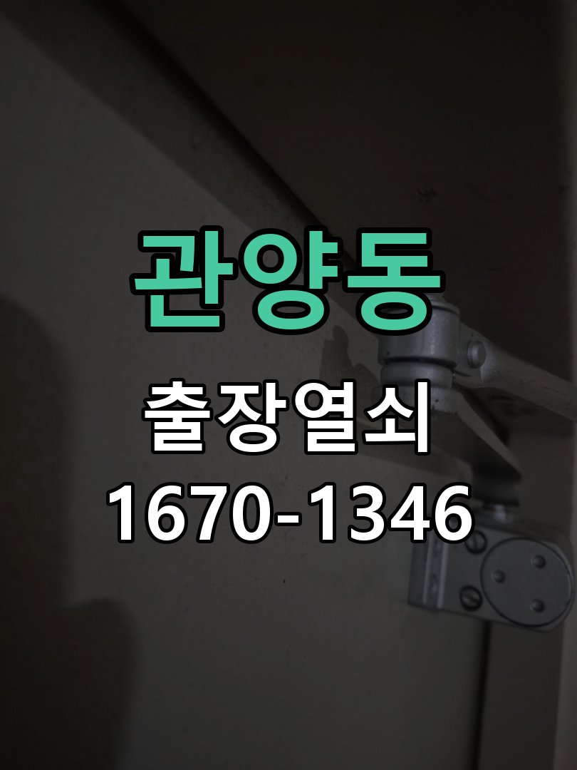 관양동 보조키 특수키 안전고리 추가 설치 특수 핀 실린더 보조키 및 빗장형 고급 안전고리 정밀 점검 및 교체