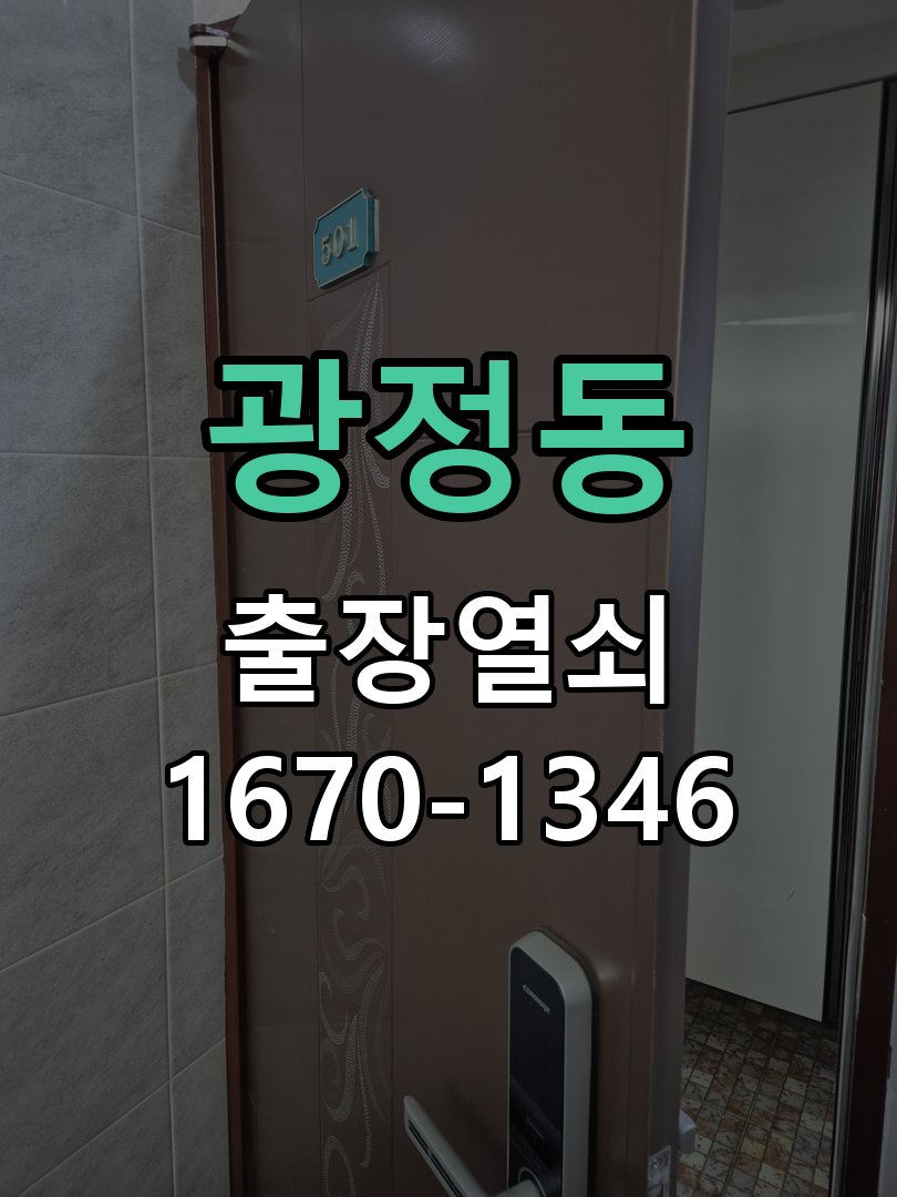 광정동 보조키 특수키 안전고리 추가 설치 특수 핀 실린더 보조키 및 빗장형 고급 안전고리 정밀 점검 및 교체