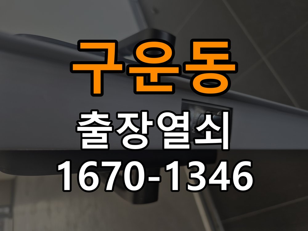 구운동 보조키 특수키 안전고리 추가 설치 특수 핀 실린더 보조키 및 빗장형 고급 안전고리 정밀 점검 및 교체