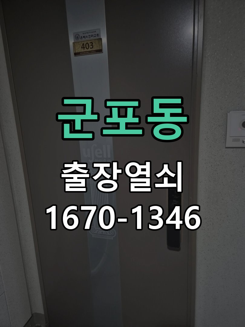 군포동 보조키 특수키 안전고리 추가 설치 특수 핀 실린더 보조키 및 빗장형 고급 안전고리 정밀 점검 및 교체