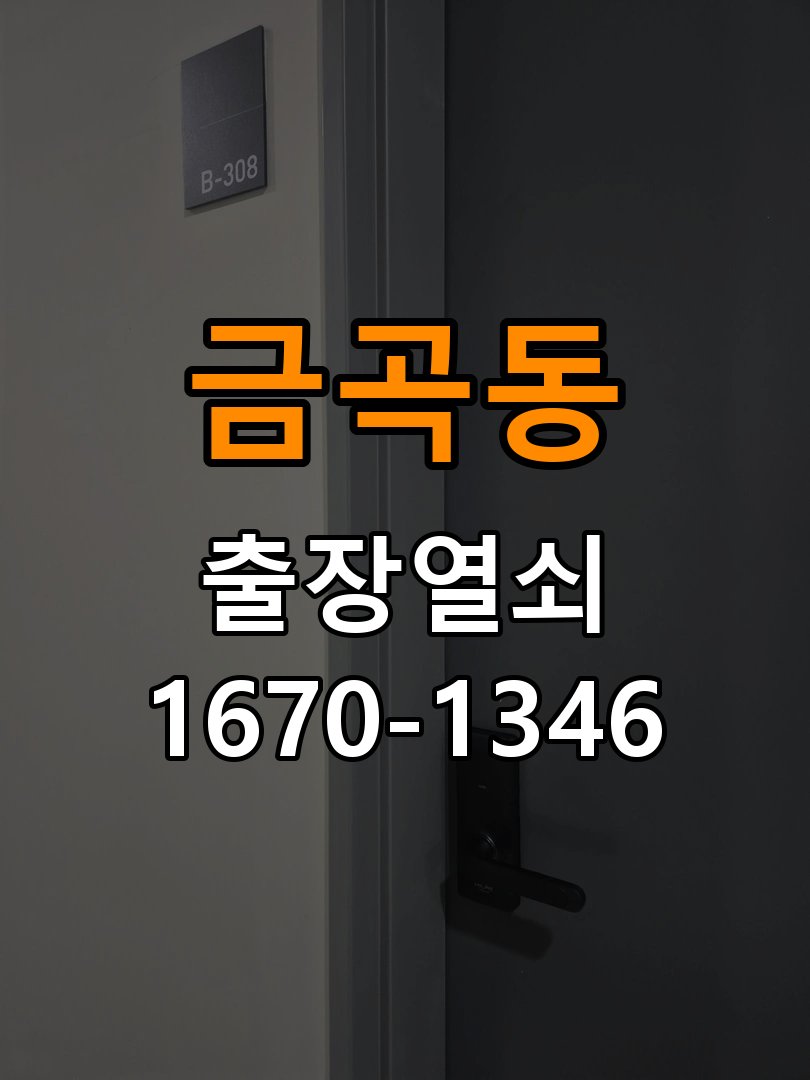 금곡동 창고 대문 개폐기 열쇠 고장 교체 주택 대문 개폐기 버튼을 눌러도 문이 열리지 않고 걸림 현장 출장