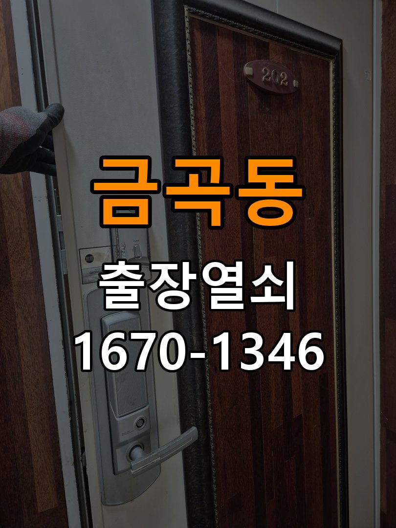 금곡동 창고 대문 개폐기 열쇠 고장 교체 AC 220V/DC 12V 호환 전자 대문 개폐기 정밀 점검 및 교체