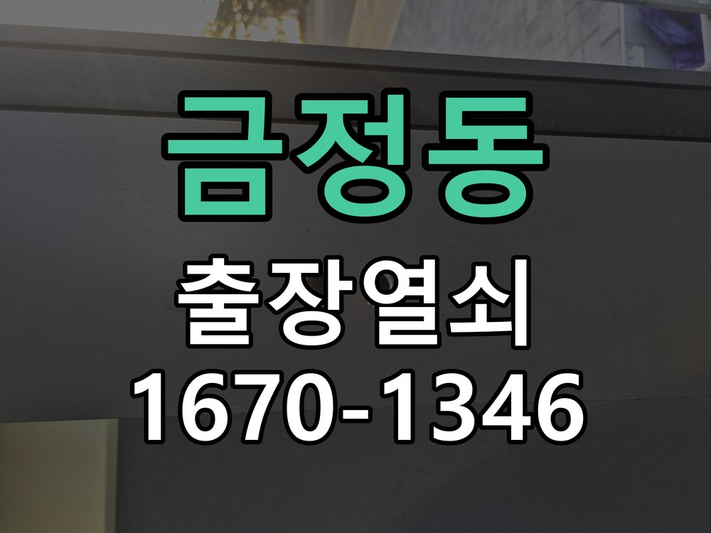 금정동 창고 대문 개폐기 열쇠 고장 교체 AC 220V/DC 12V 호환 전자 대문 개폐기 정밀 점검 및 교체