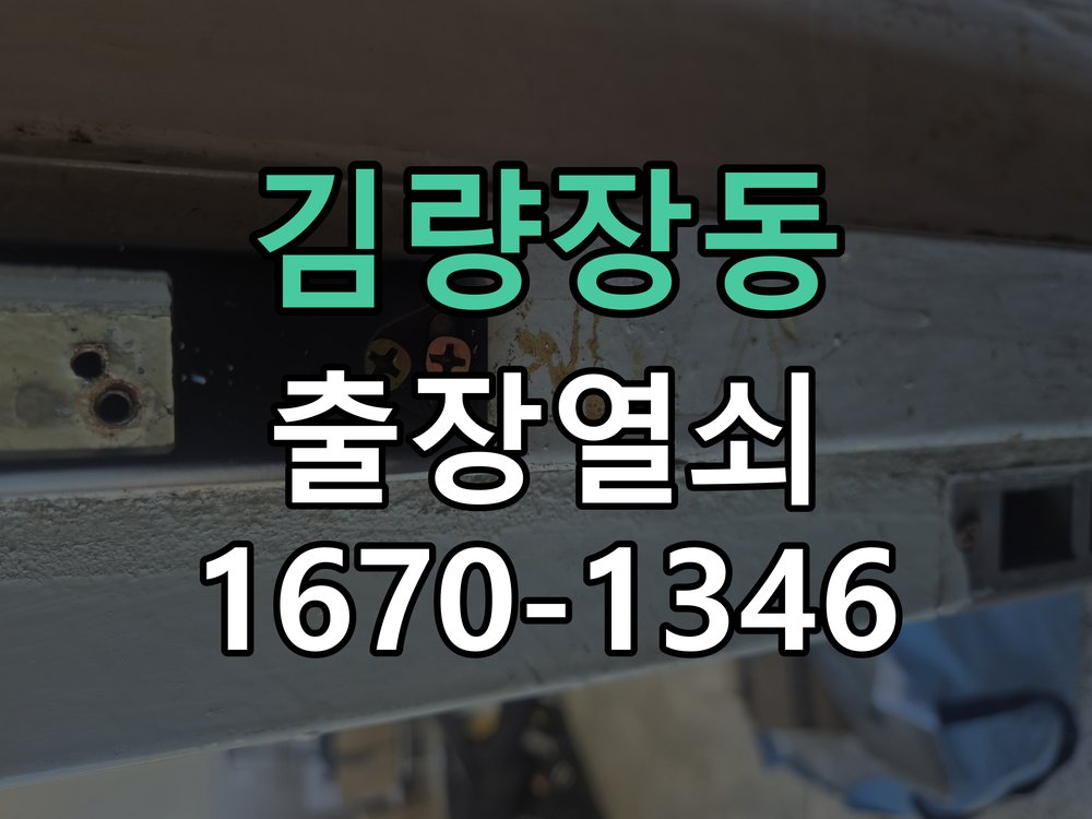 김량장동 도어락 이중잠금 내부잠금 해제 방법 집 안에서 이중 잠금(안전잠금) 버튼이 눌려 밖에서 비번을 쳐도 삑삑 소리만 남 현장 출장