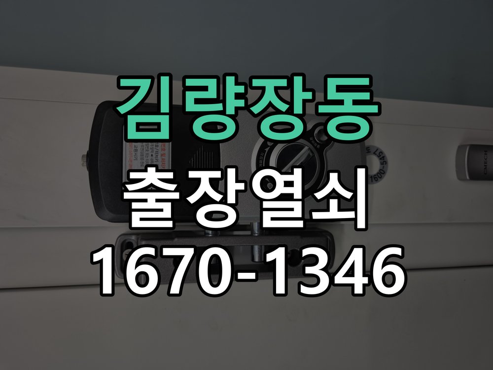 김량장동 도어락 이중잠금 내부잠금 해제 방법 파손 최소화 기술 개문 공구 세트 정밀 점검 및 교체