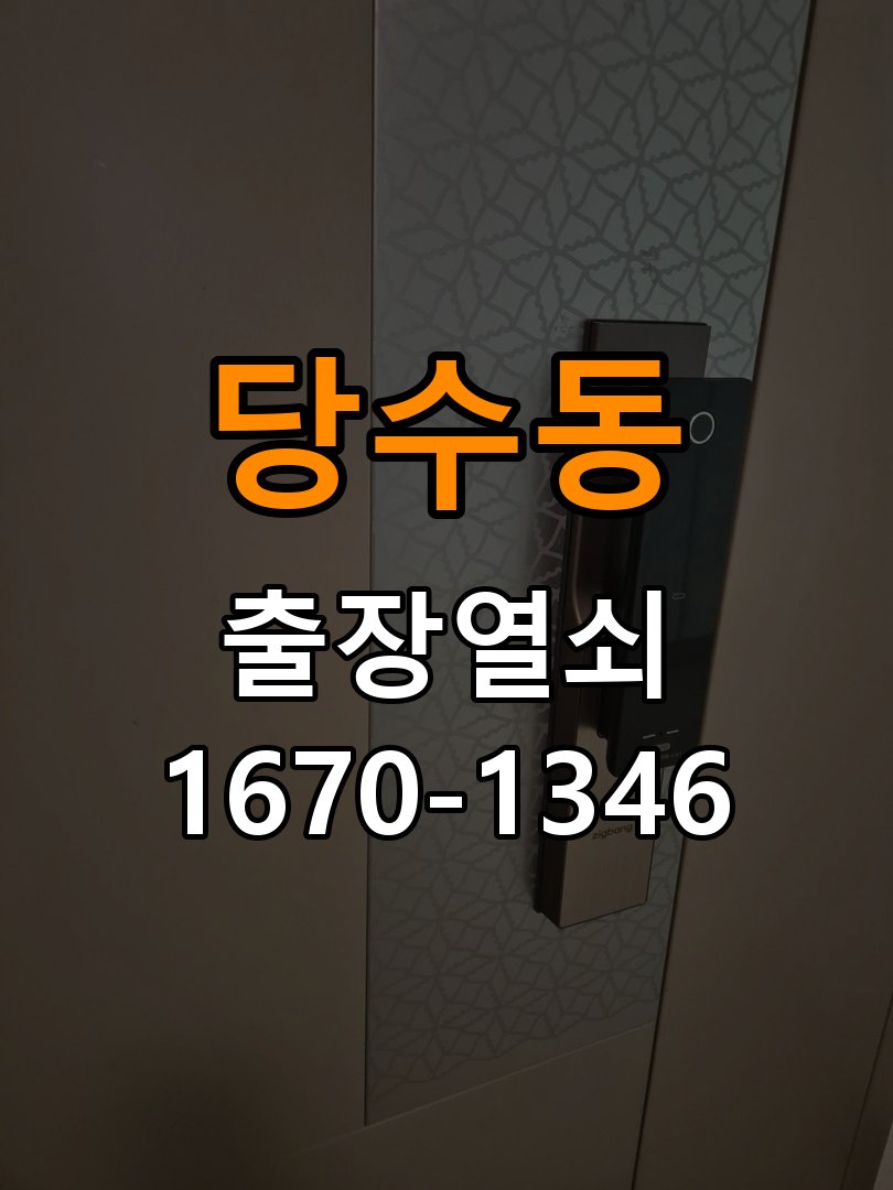 당수동 창고 대문 개폐기 열쇠 고장 교체 AC 220V/DC 12V 호환 전자 대문 개폐기 정밀 점검 및 교체