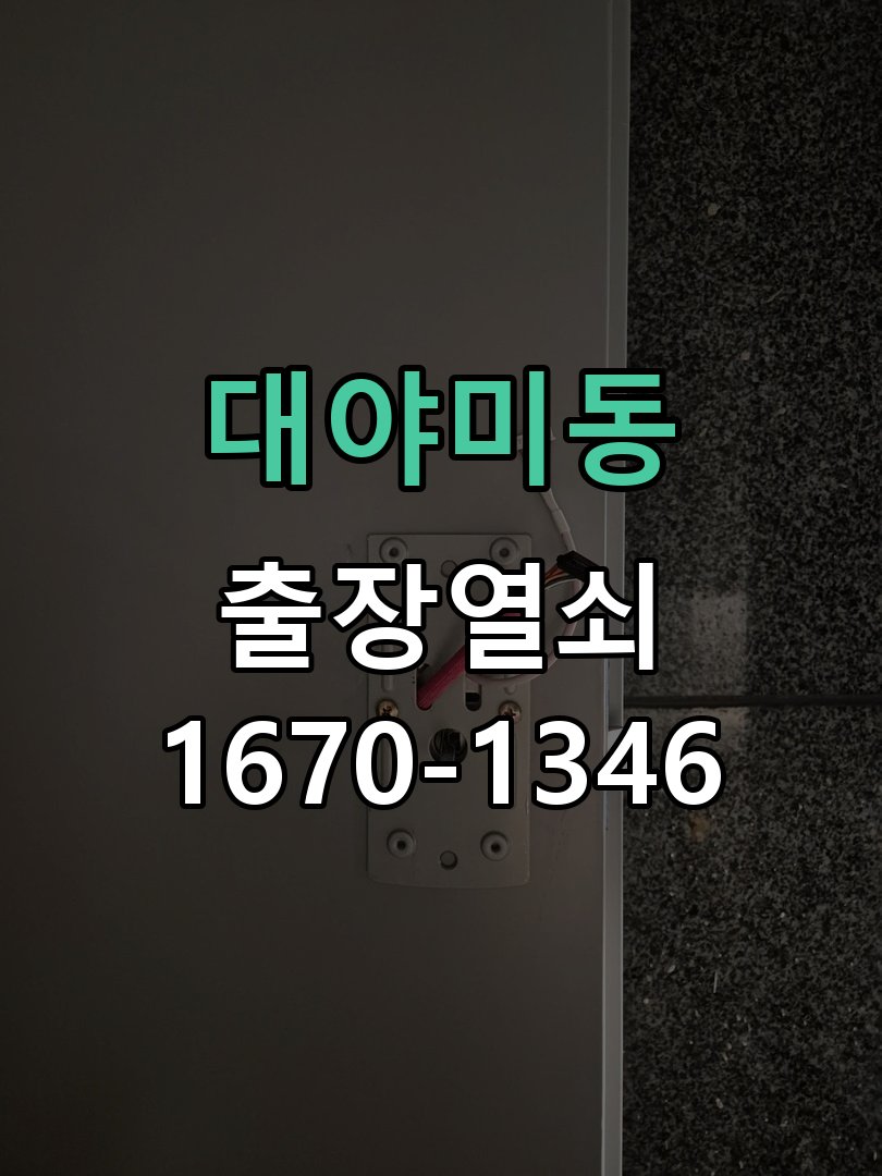 대야미동 열쇠 부러짐 키 실린더 교체 열쇠 구멍 안에서 키가 꺾여 부러진 채 박혀 문이 안 열림 현장 출장