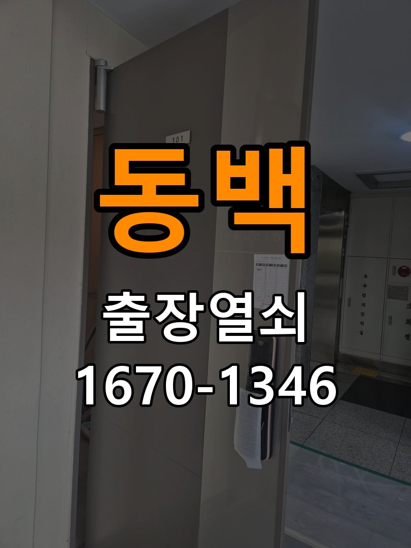 동백 보조키 특수키 안전고리 추가 설치 특수 핀 실린더 보조키 및 빗장형 고급 안전고리 정밀 점검 및 교체