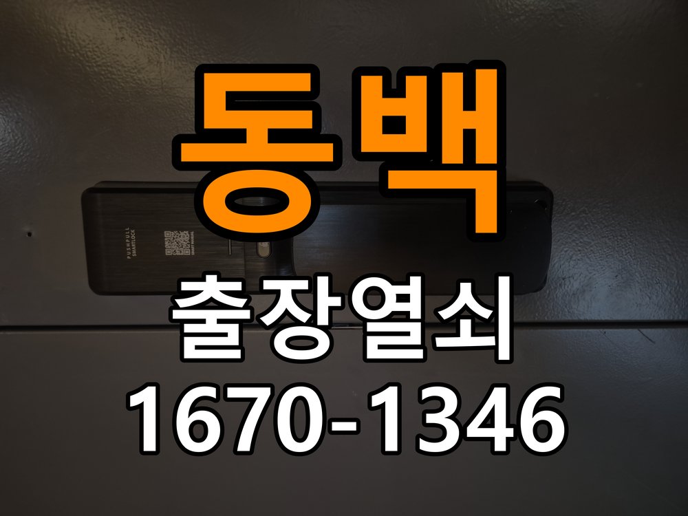 동백 창고 대문 개폐기 열쇠 고장 교체 AC 220V/DC 12V 호환 전자 대문 개폐기 정밀 점검 및 교체