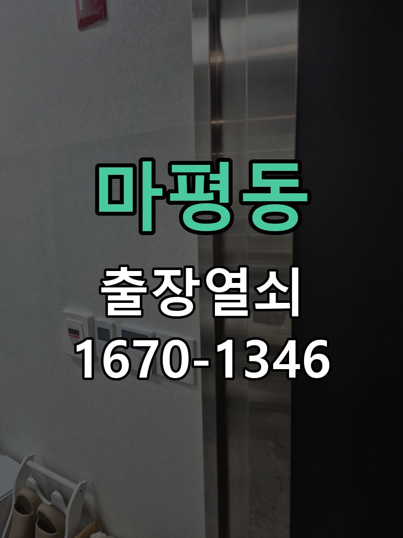 마평동 도어락 건전지 누액 단자 부식 청소 및 수리 부식 단자 화학 세척 및 스프링 전원 접점 재생 정밀 점검 및 교체