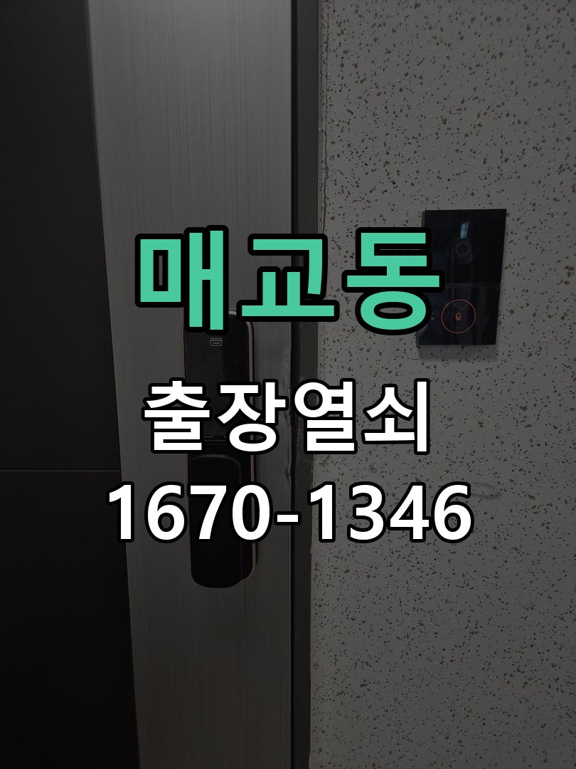 매교동 현관문 보조키 열쇠 분실 키통 교체 특수 딤플키 실린더 보조키 교체 정밀 점검 및 교체