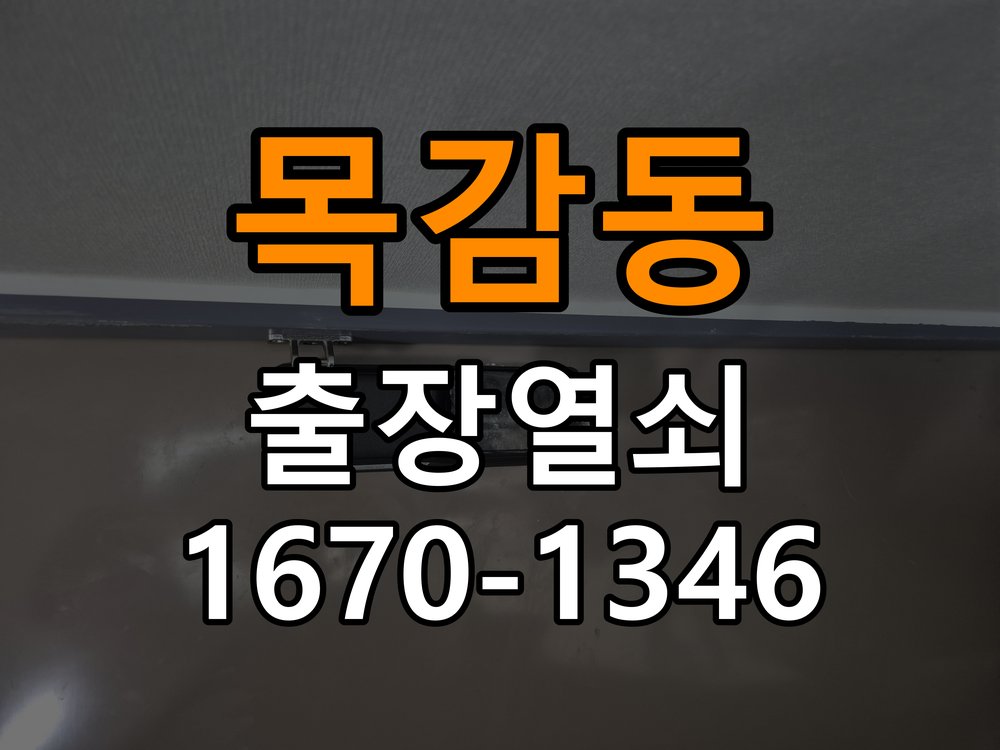 목감동 보조키 특수키 안전고리 추가 설치 도어락 외에 추가적인 이중 보안 잠금장치 필요 현장 출장