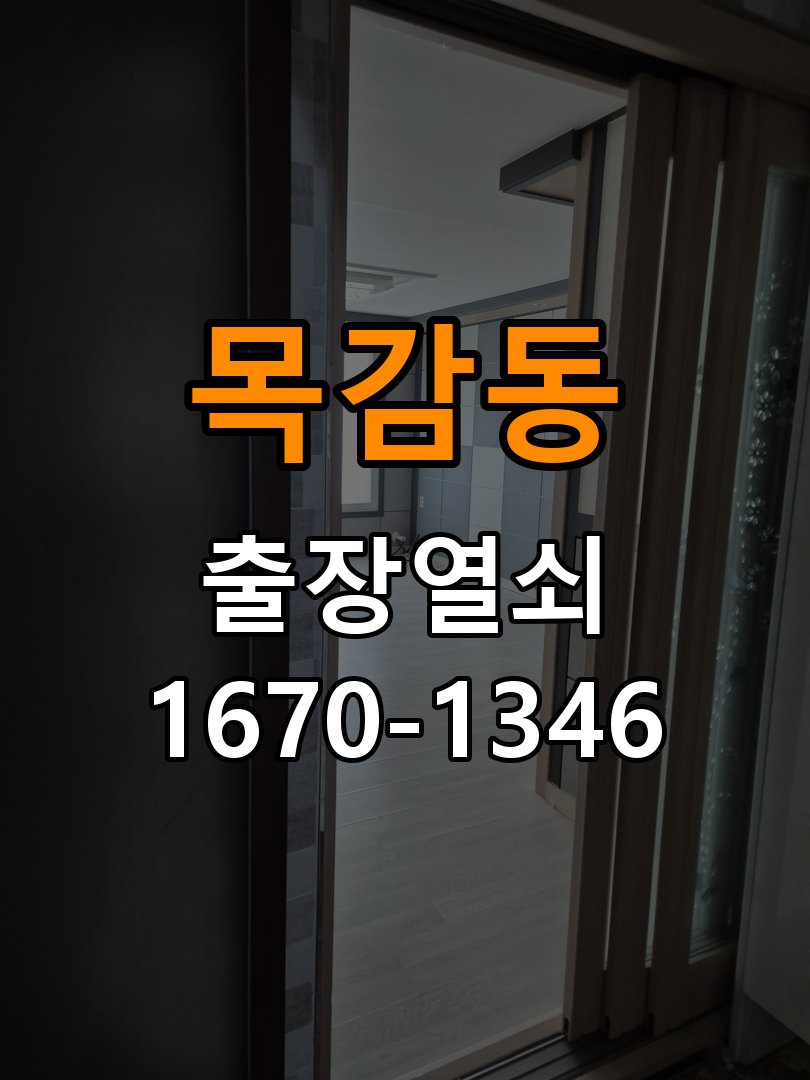 목감동 보조키 특수키 안전고리 추가 설치 특수 핀 실린더 보조키 및 빗장형 고급 안전고리 정밀 점검 및 교체