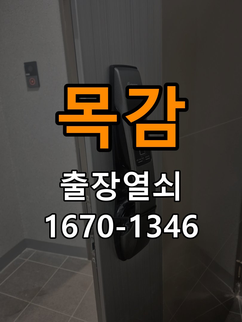 목감 보조키 특수키 안전고리 추가 설치 특수 핀 실린더 보조키 및 빗장형 고급 안전고리 정밀 점검 및 교체